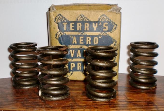 Ventilfedernsatz   (16/6)