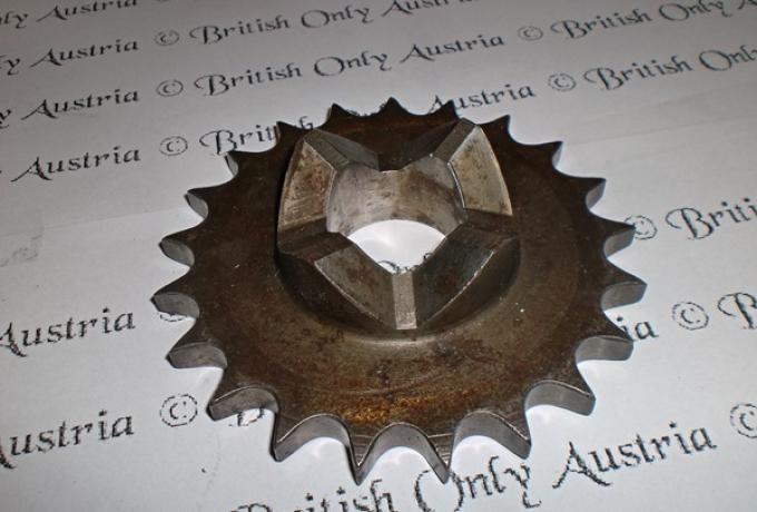 Ritzel 21Z. gebraucht