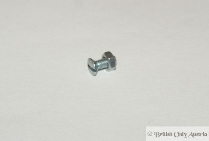 BSA Petrol Tank Badge Fixing Screw + Nut