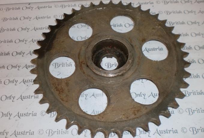 Hinten. Kettenradritzel 42 Z. gebraucht. (Sunbeam)