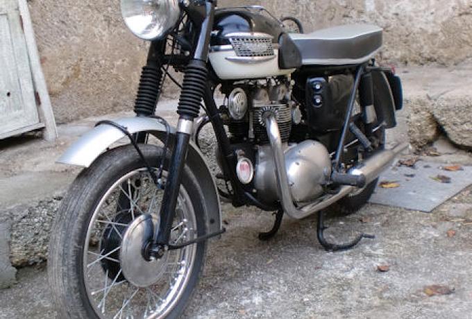 Triumph T100  1959