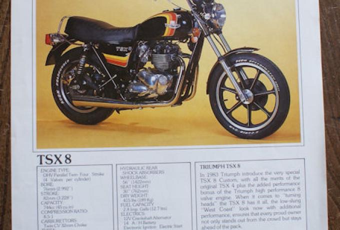 Triumph T.S.S., Prospekt