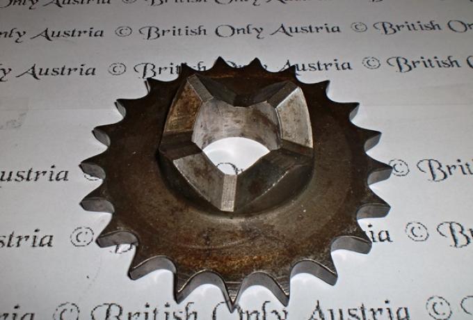 Ritzel 21Z. gebraucht