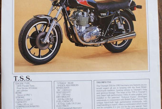 Triumph T.S.S., Prospekt