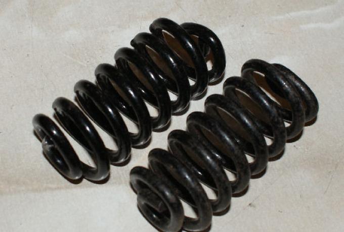 Beiwagenfedern /Paar