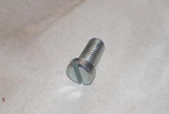 Triumph/BSA/AJS/Matchless Befestigungsschraube - Tank/Kniegummi