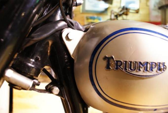 Triumph TR5   1953
