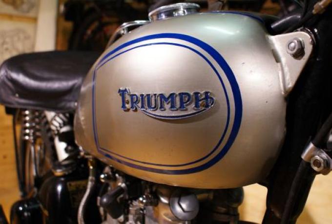 Triumph TR5   1953