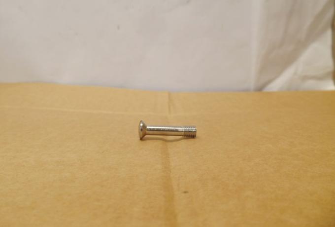 Triumph Tank Grid Screw 