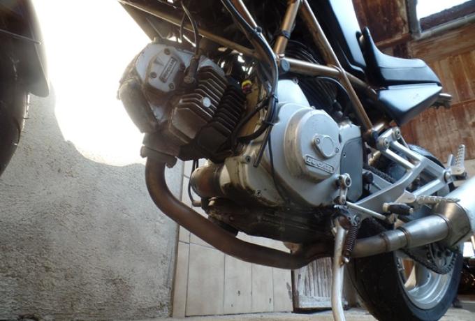 Ducati Monster 600cc