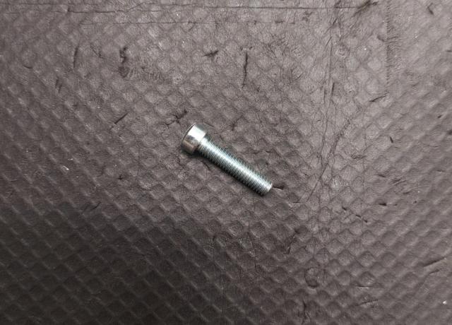 Triumph Screw Steel Slotted Fillister HD