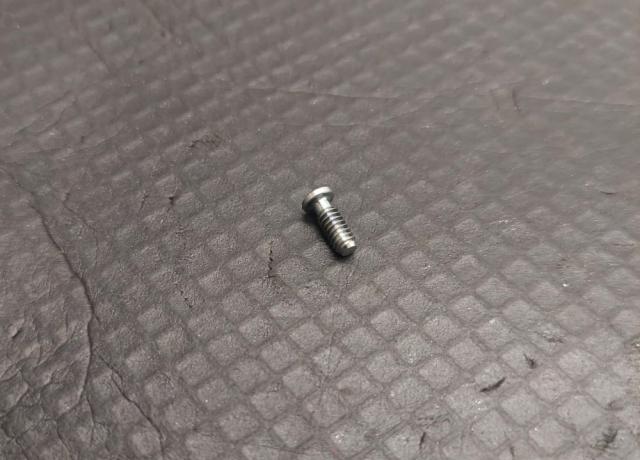 Triumph Screw - Petrol Tank Badge