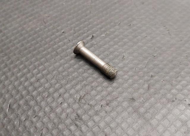 Triumph Tank Grid Screw Stainless Steel