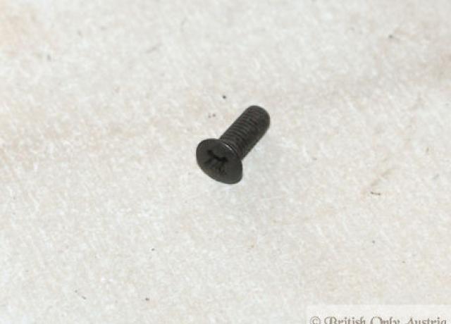 Triumph TSS Schraube für Seitenpanel