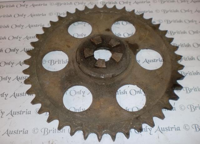 Hinten. Kettenradritzel 42 Z. gebraucht. (Sunbeam)