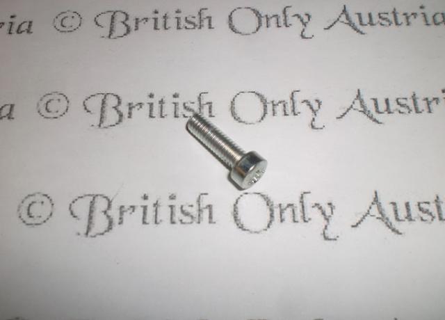 Amal Sicherungsschraube für Schwimmerkammer/Vergaserdeckel/Vergaserabdeckung