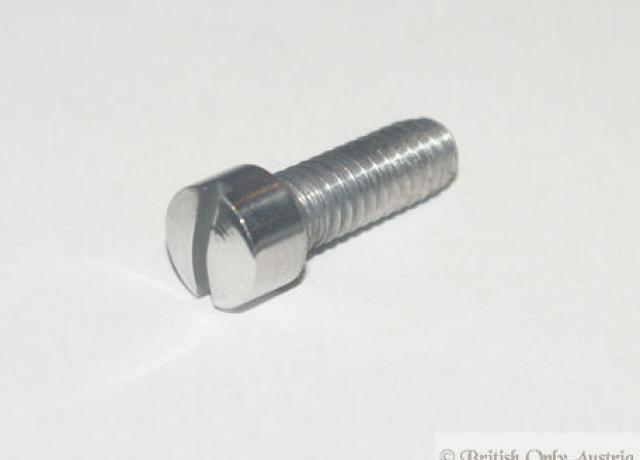 Whitworth Fillister Head Slotted Screw 1/4" x 3/4"  UH. SS