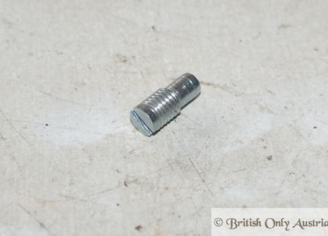 Triumph Gewindestift f. Lenkungsdämpfer 