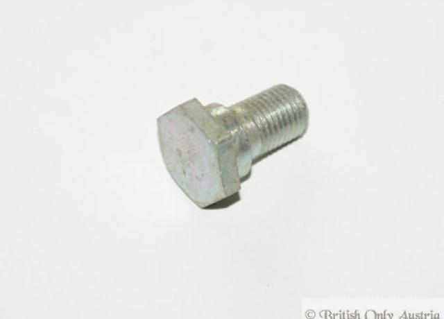 Triumph Bolt. Torque Stay to Swinging Arm