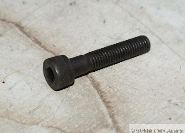Triumph Bolt Brake Torque Strut
