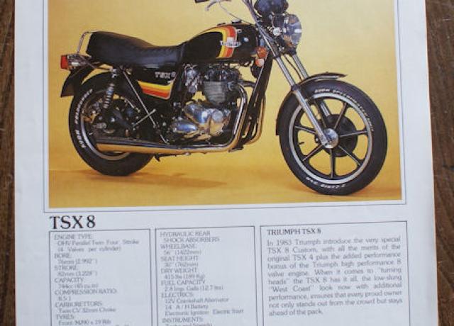 Triumph T.S.S., Brochure