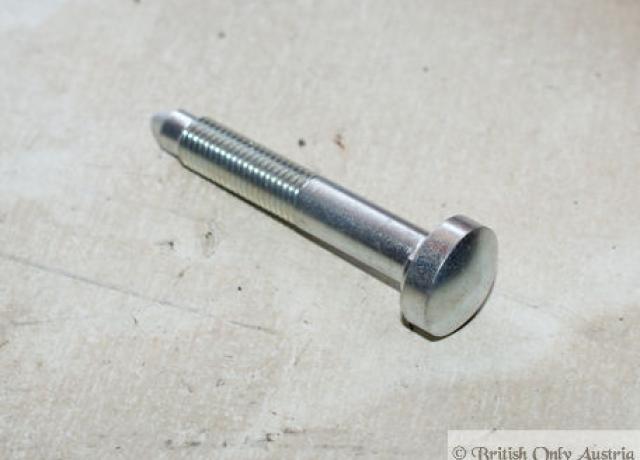 Triumph Bolt for Tank 