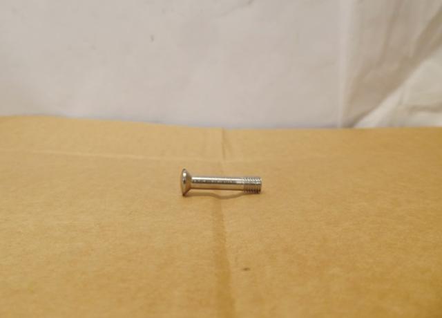 Triumph Tank Grid Screw 